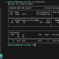 NVIDIA GPU access inside a Proxmox LXC